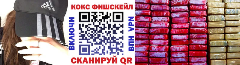Купить закладки Александровское Кокаин Fish Scale