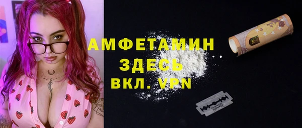 дживик Бородино