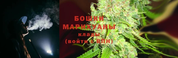 дживик Бородино