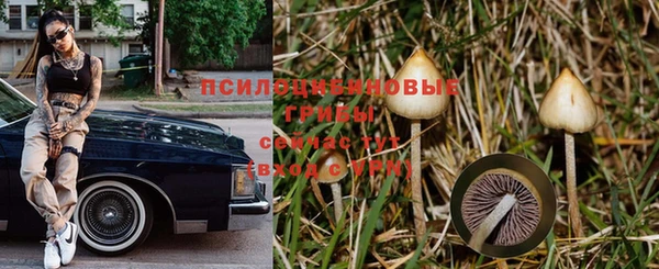 дживик Бородино